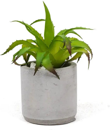 Stewehome Set of 3 Pieces Artificial Cactus Succulent Modern Grey Plastic Container