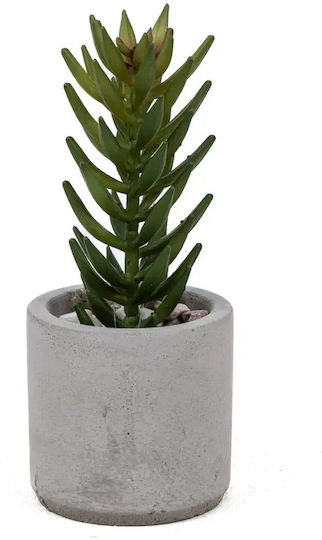 Stewehome Set 3 Bucăți Cactuși Artificiali Suculenti Modern Gri Vas Din Plastic