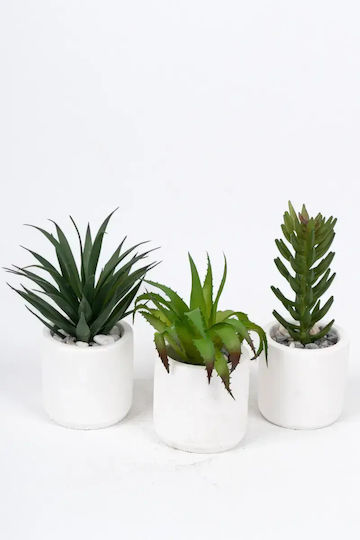 Stewehome Set Of 3 Pieces Artificial Succulent Cacti Modern Grey Plastic Pot