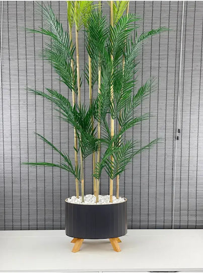 Stewehome Dekorative Topfpflanze Palmyra 6 Stämme Holz-elliptischer Basis Topf