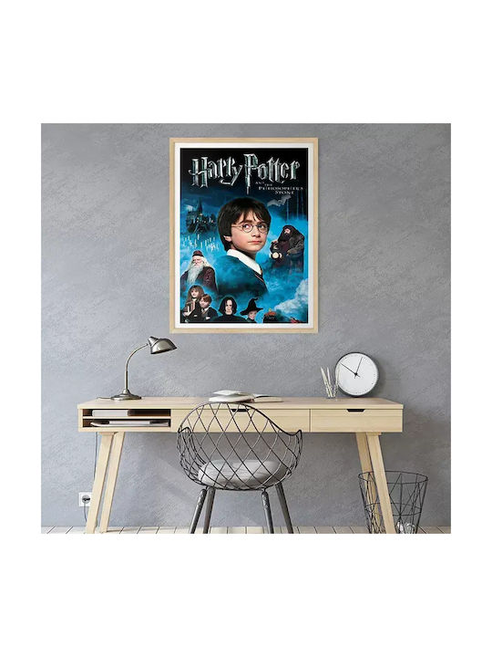 Poster Harry Potter Philosophers Stone Mv381 40cm X 50cm-71818pd159561