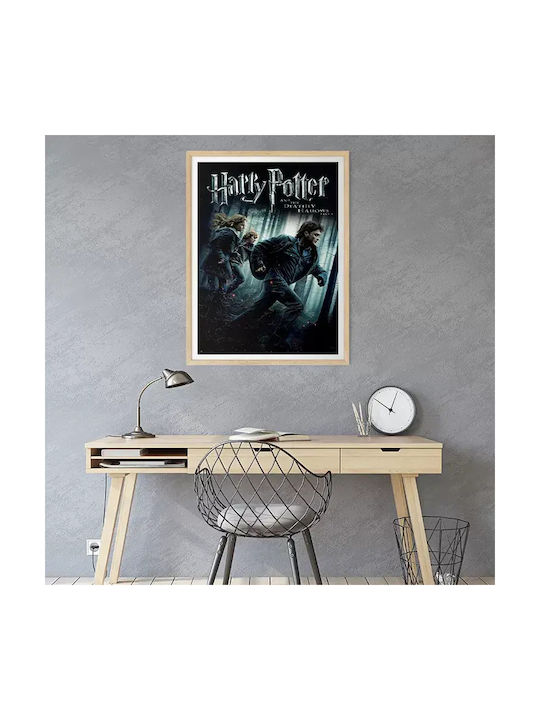 Harry Potter Deathly Hallows Part 1 Mv387 21cm X 30cm-71824pd159601