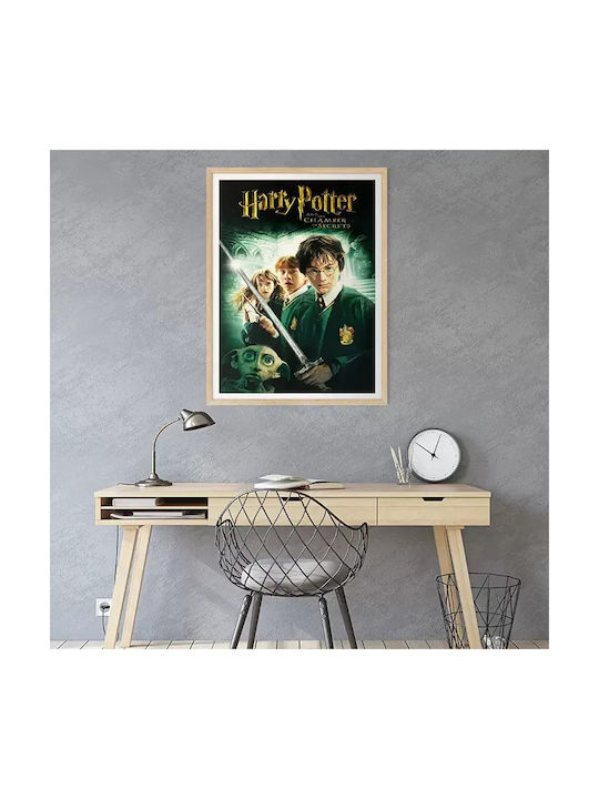 Poster Harry Potter Camera Secretelor Mv382 30cm X 40cm-71819pd159567
