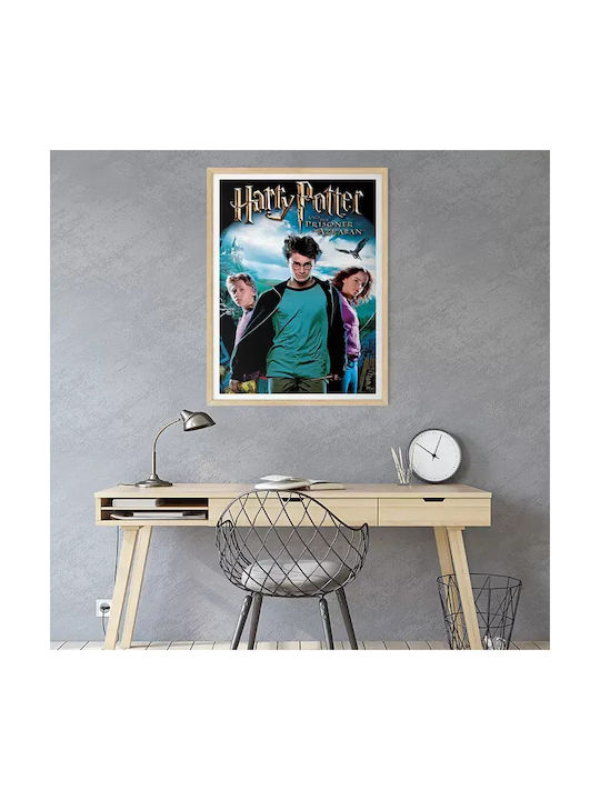 Poster Harry Potter Prisoner Azkaban Mv383 50cm X 70cm-71820pd159576