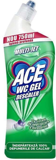 Ace Grund / Primer 0.75lt