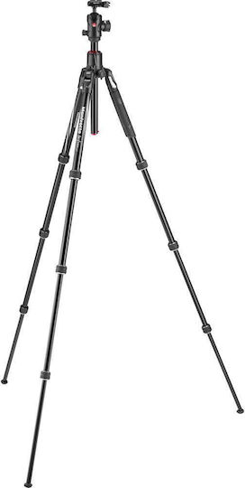 Manfrotto Kamerastative Befree GT XPRO Aluminium aus Aluminium mit Kugelförmiger Kopfart und Belastbarkeit 10kg