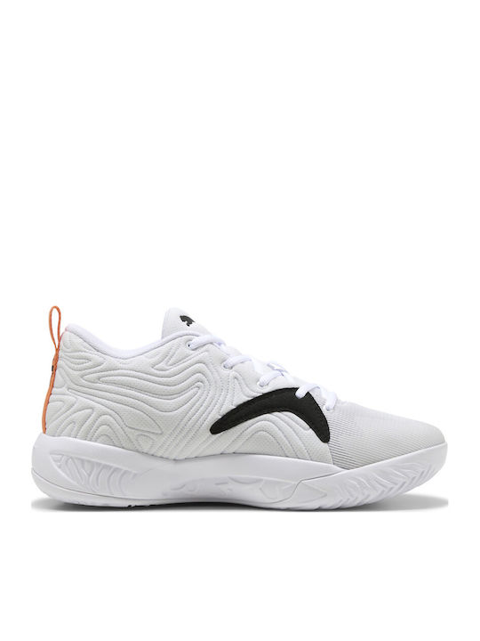 PUMA