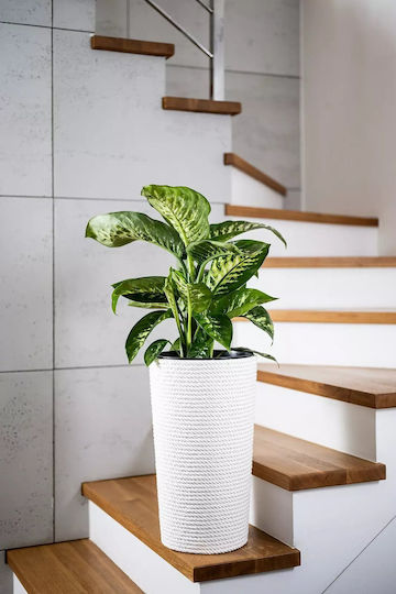 Adoni Plastic Flower Pot White 28x47cm Adoni Plastic Flower Pot White 28x47cm