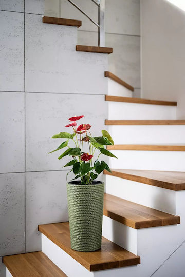 Adoni Kunststoff Blumentopf Grün 22x36cm