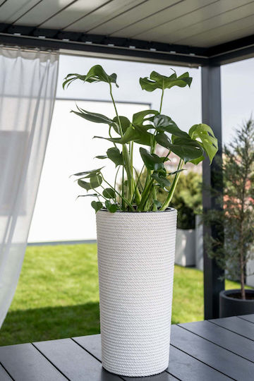 Adoni Bambus Weißer Pflanzgefäß 32x57cm