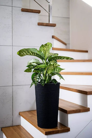 Adoni Plastic Black Flower Pot 28x47cm Adoni Plastic Black Flower Pot 28x47cm