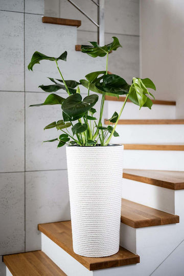 Adoni Bambus Weißer Pflanzgefäß 32x57cm