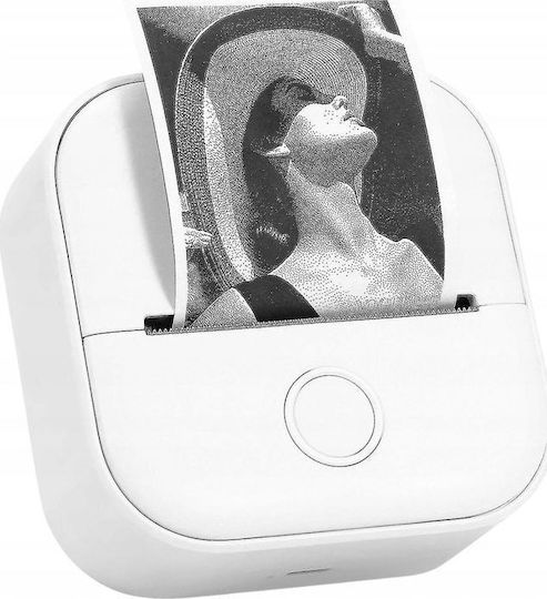 Phomemo Tragbarer Thermischer Etikettendrucker USB Bluetooth Farbig