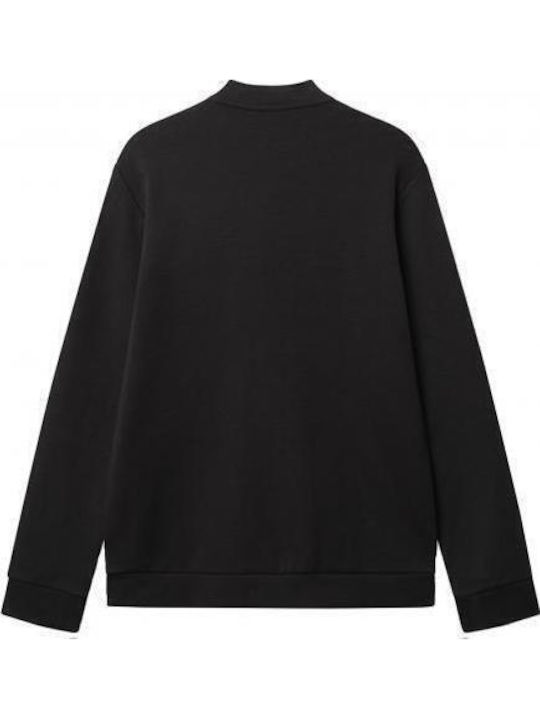 Jacket Meteorite
