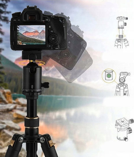 Kodak Stativzubehör und -teile Fall
