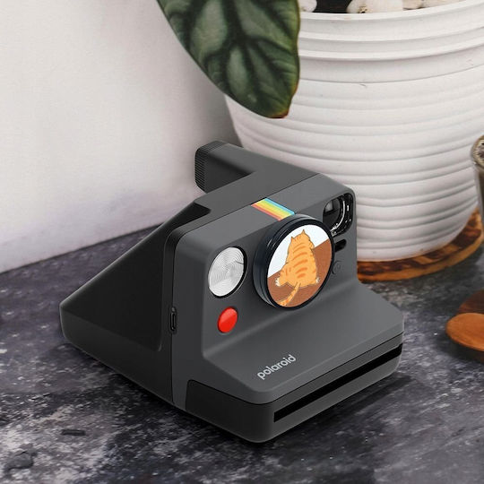 Decorative Sticker Loveinstant Camera Cap 3 Meters Polaroid Now Now+ Camera Dog Black