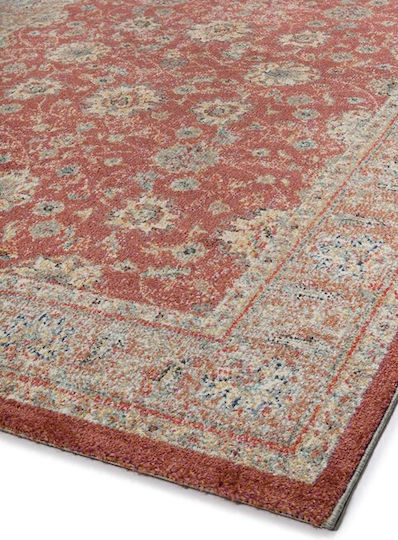 Viokarpet Naif Viokarpet Naif
