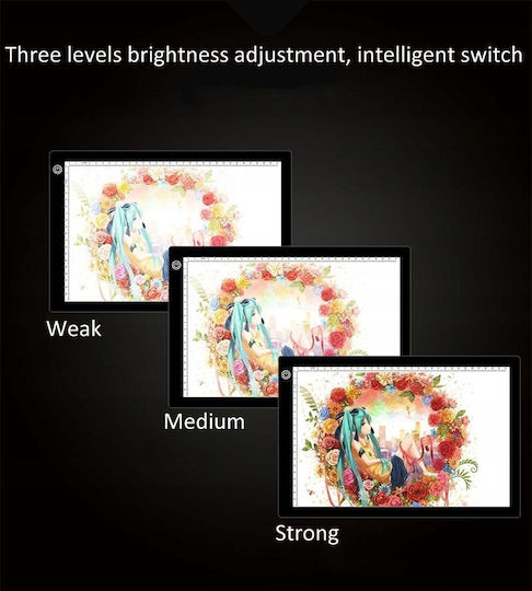 Xrec LED