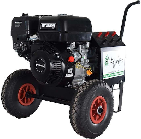 Agelis Gasoline Olive Harvester Generator 13.8V with Hyundai 650Q Motor 6.5hp