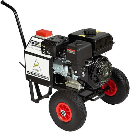Agelis Benzin Stromerzeuger Für Olivenpflücker 13.8V