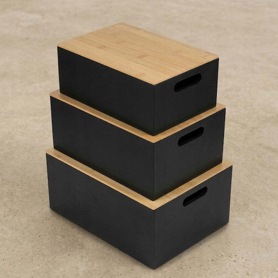 Edaxo Plastic Black Lunch Box