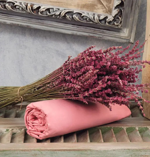 Cokitex Bettlaken Semi-Doppel mit Gummiband 120x200+25cm. Angel Dusty Pink
