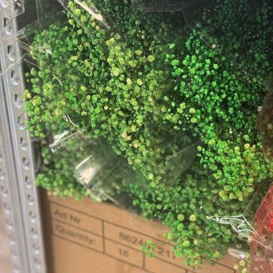 Γυψοφυλλη Αποξηραμενο Λουλουδι 240gr Πρασινο