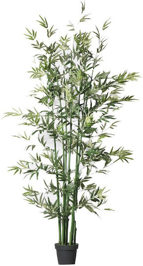 Φίκος Εξωτερικού Χώρου 150cm Supergreens
