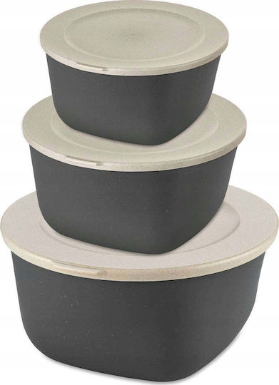 Koziol Set Plastic Lunch Boxes 3 Pieces