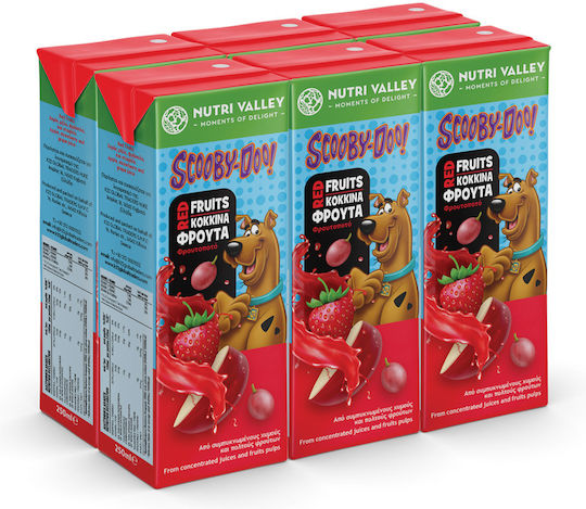 Nutri Valley Healthy Foods 250ml 6Stück 5200132754603