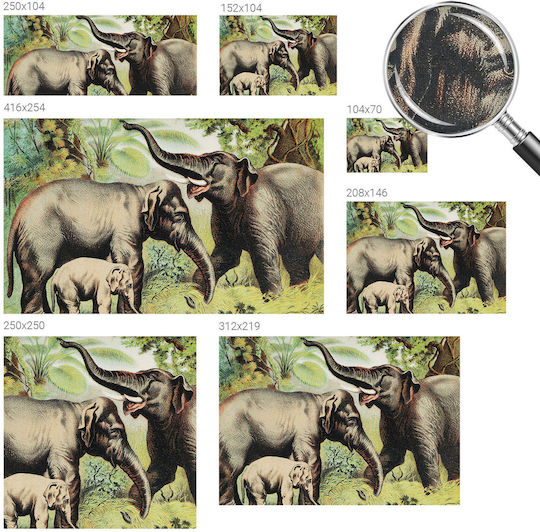 Kinder Tapeten Magicstick Familie Elefanten Im Dschungel Hintergrund 208x146