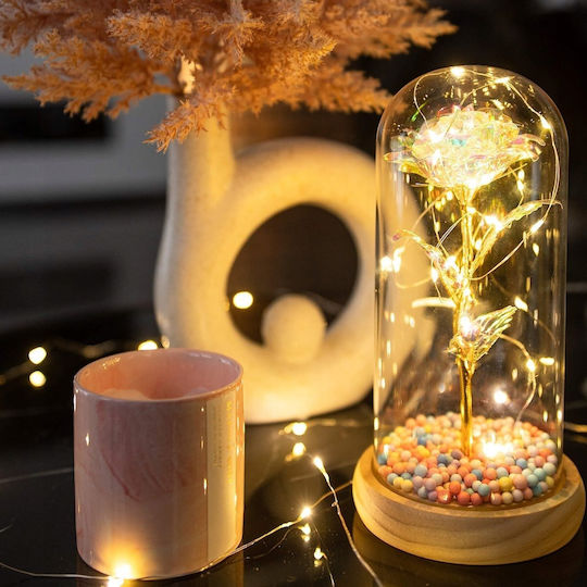 All Saints White Rose 22cm in Glass with LED Aptel