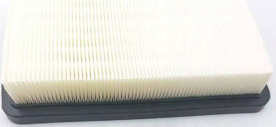 Dedra Hepa Vacuum Cleaner Filter