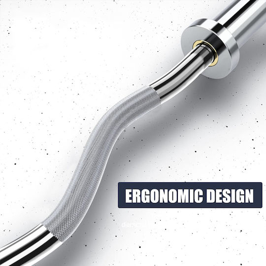 Pegasus Curl Bar Ø29mm 5kg Length 2.8cm with Spinlock Collars