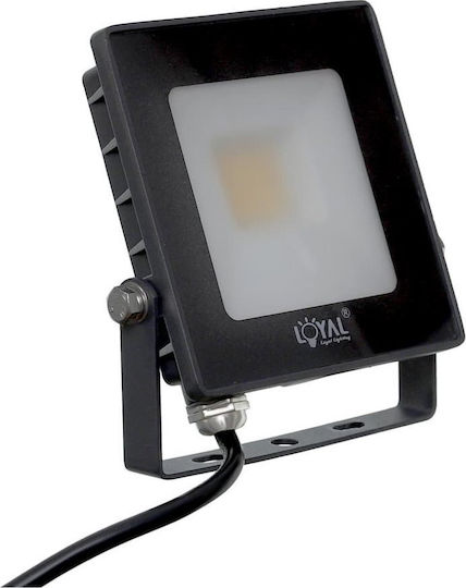 Lumiled Водоустойчив LED прожектор 20W Неутрално бяло 4000K IP65
