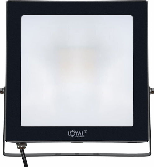 Loyal Lighting Светещ Водоустойчив LED Прожектор 50W Неутрално Бяло 4000K IP65