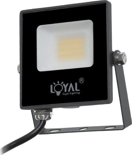 Loyal Lighting Светодиоден Прожектор 10W Неутрално Бяло 4000K IP65 Водоустойчив