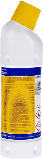 Tenzi General Purpose Cleaning Liquid with Disinfecting Action 750ml
