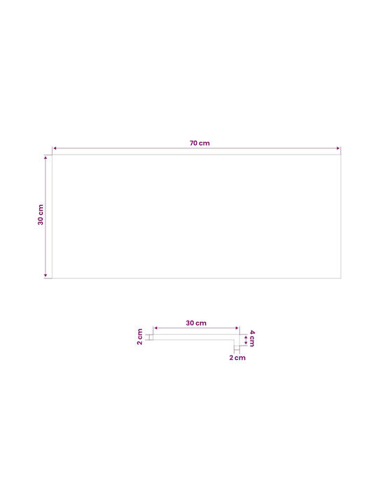 Παράθυρα 2 Τμχ Λακαρισμένο 70 X 30 X 2 Cm Στερεό Ξύλο Οξιάς 42048231 Καφέ