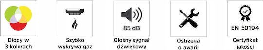 Gasdetektor für Erdgas