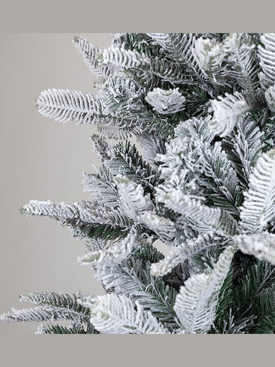 Milan Tree Milan Tree