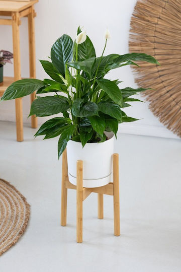 Strado Pflanzenständer 25cm