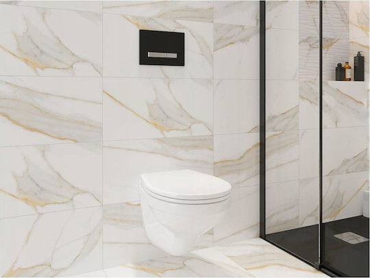 KK-Pol Flush Plate for Dual Flush Cisterns