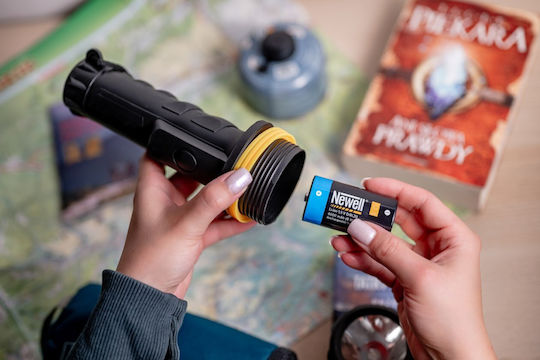 Newell Wiederaufladbare Batterien D Li-Ion 4000mAh 1,5V 2 Stück