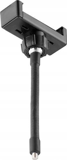 Freepower Basis