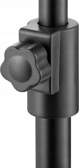 Freepower Basis