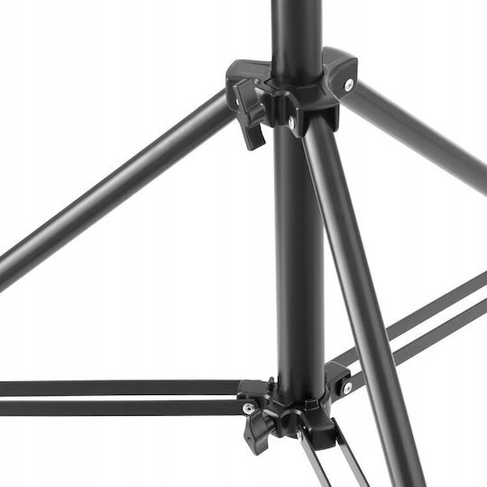 Freepower Basis