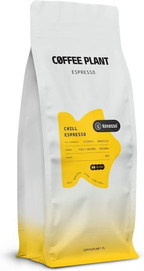 Coffee Plant Καφές Espresso Arabica Plant σε Κόκκους 1kg
