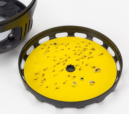Carruzzo Carruzzo Insektizid Falle Für Fliegen Flöhe Motte Mites Bettwanzen Mücken Mit Klebefläche 10gr