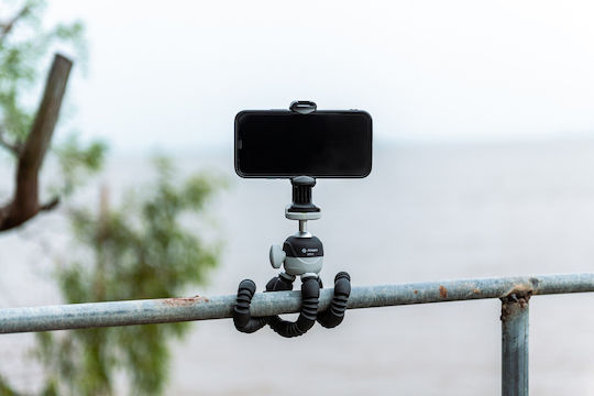 Fotopro Kamerastative mit Kugelförmiger Kopfart bis 4,5cm und Maximale Belastung 2kg